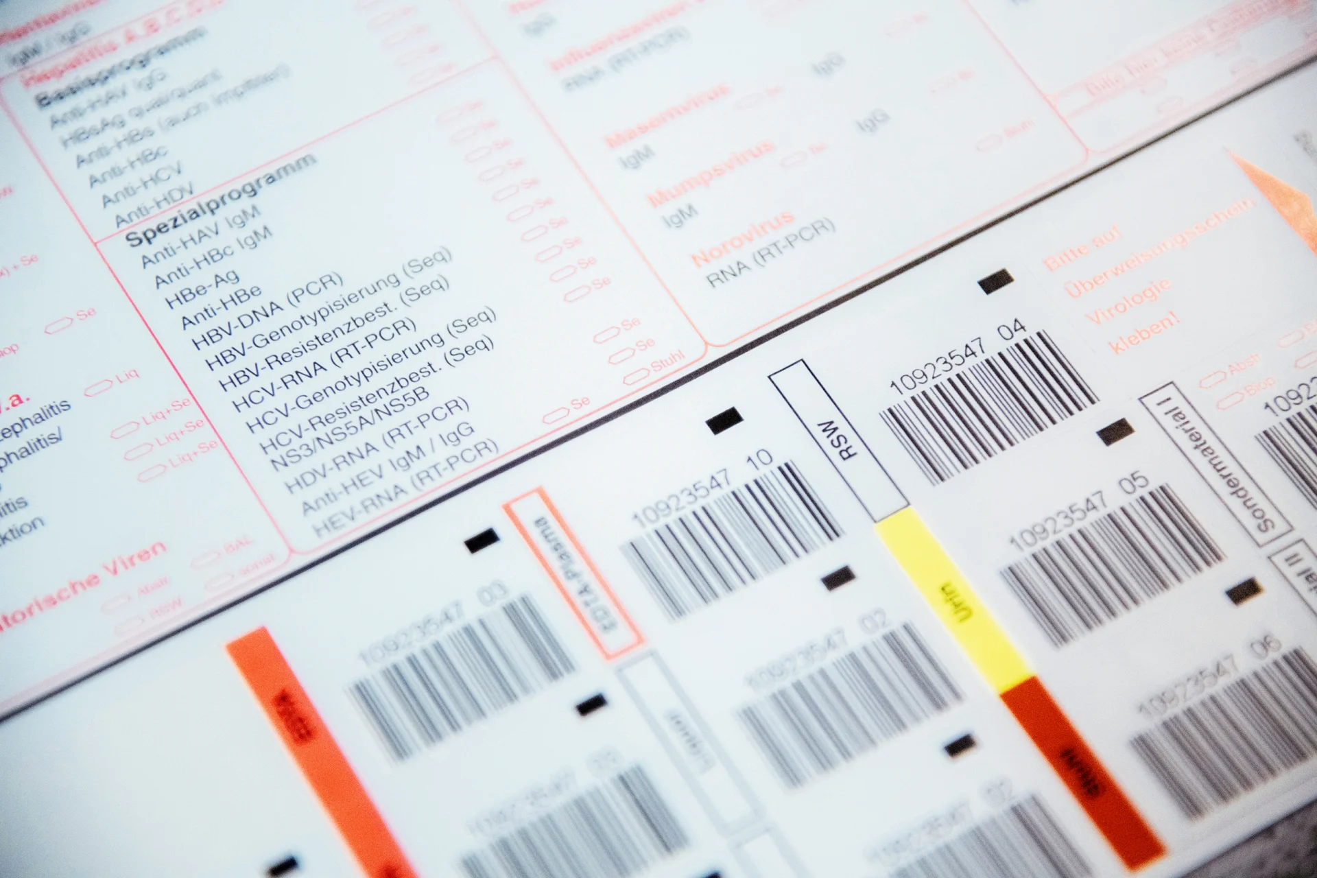 AG Schönfeld - Titelbild