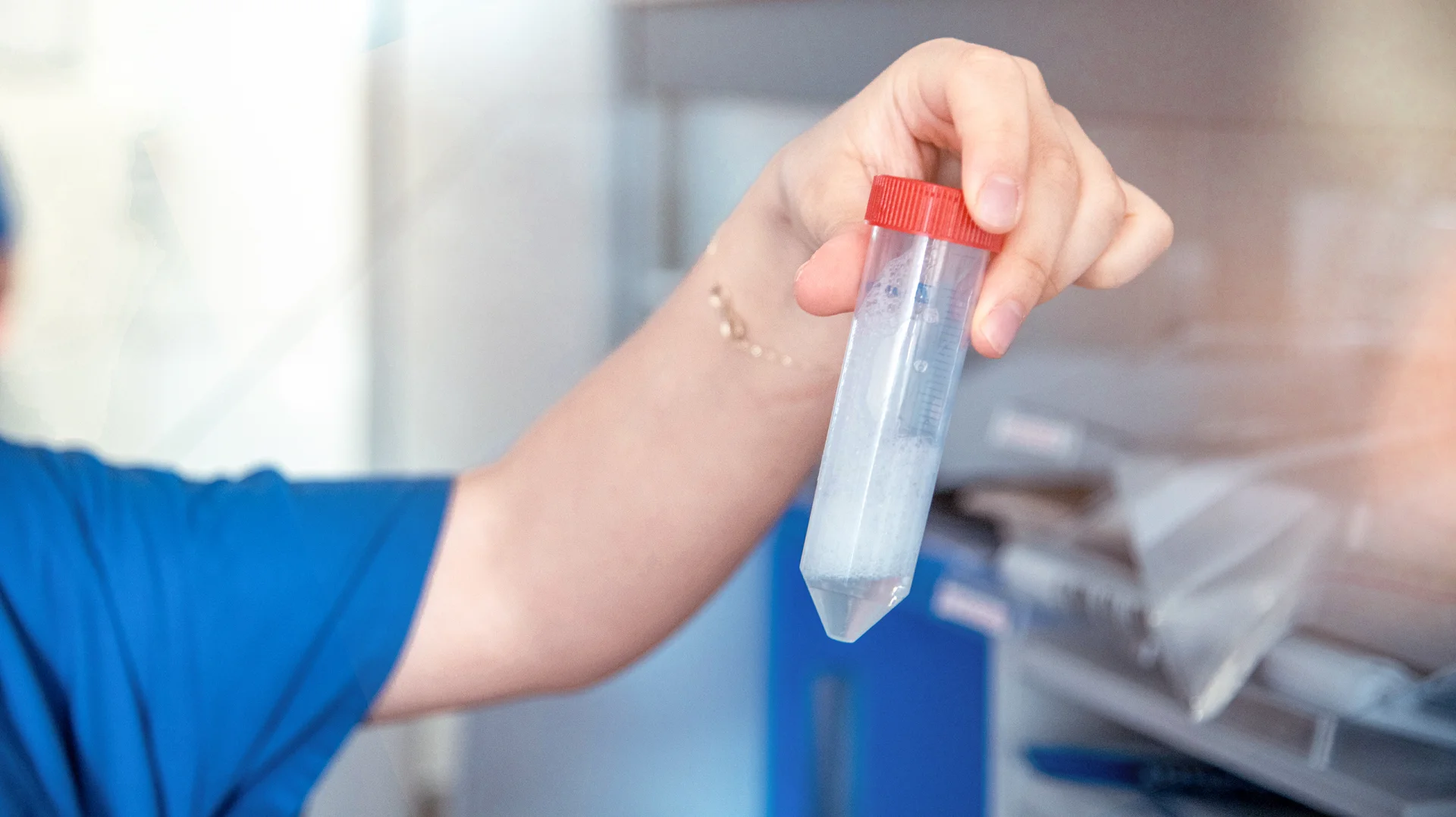 Übergreifende Projekte - Titelbild